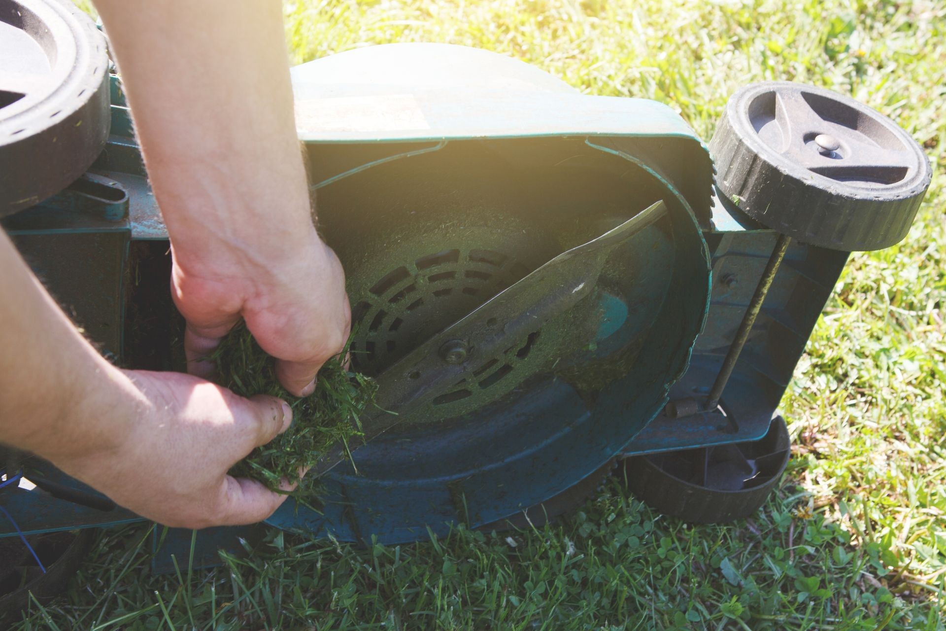 Cutting green grass electric lawn mower. The gardener cares for the device, cleans the knives of dirt.